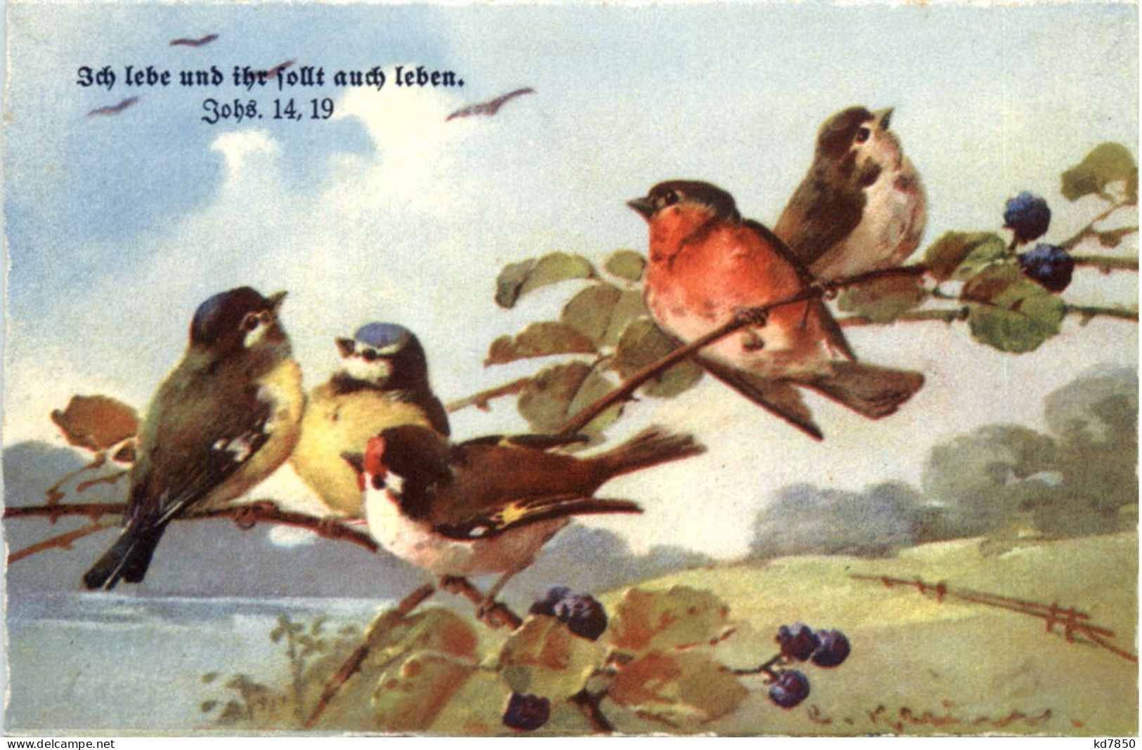 Künstlerkarte C. Klein - Klein, Catharina