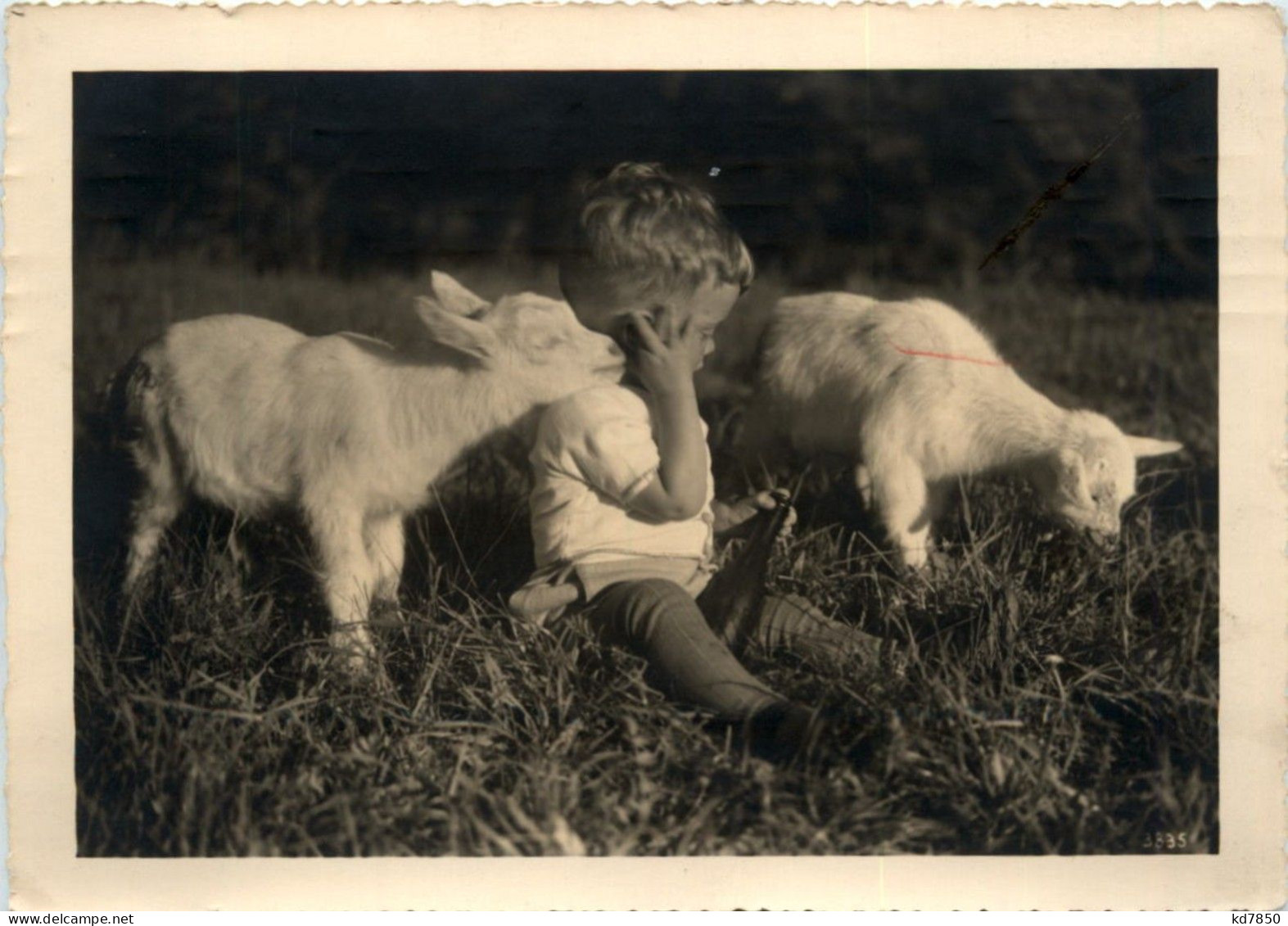 Kind Mit Ziegen - Goat - Other & Unclassified