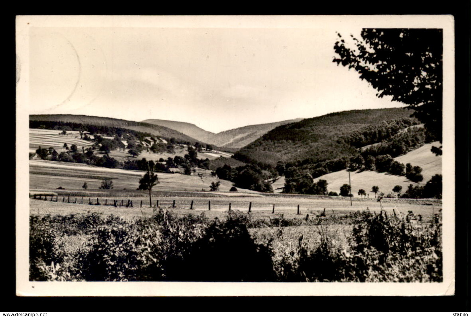 57 - PHALSBOURG - VUE SUR LES MONTAGNES  - Phalsbourg