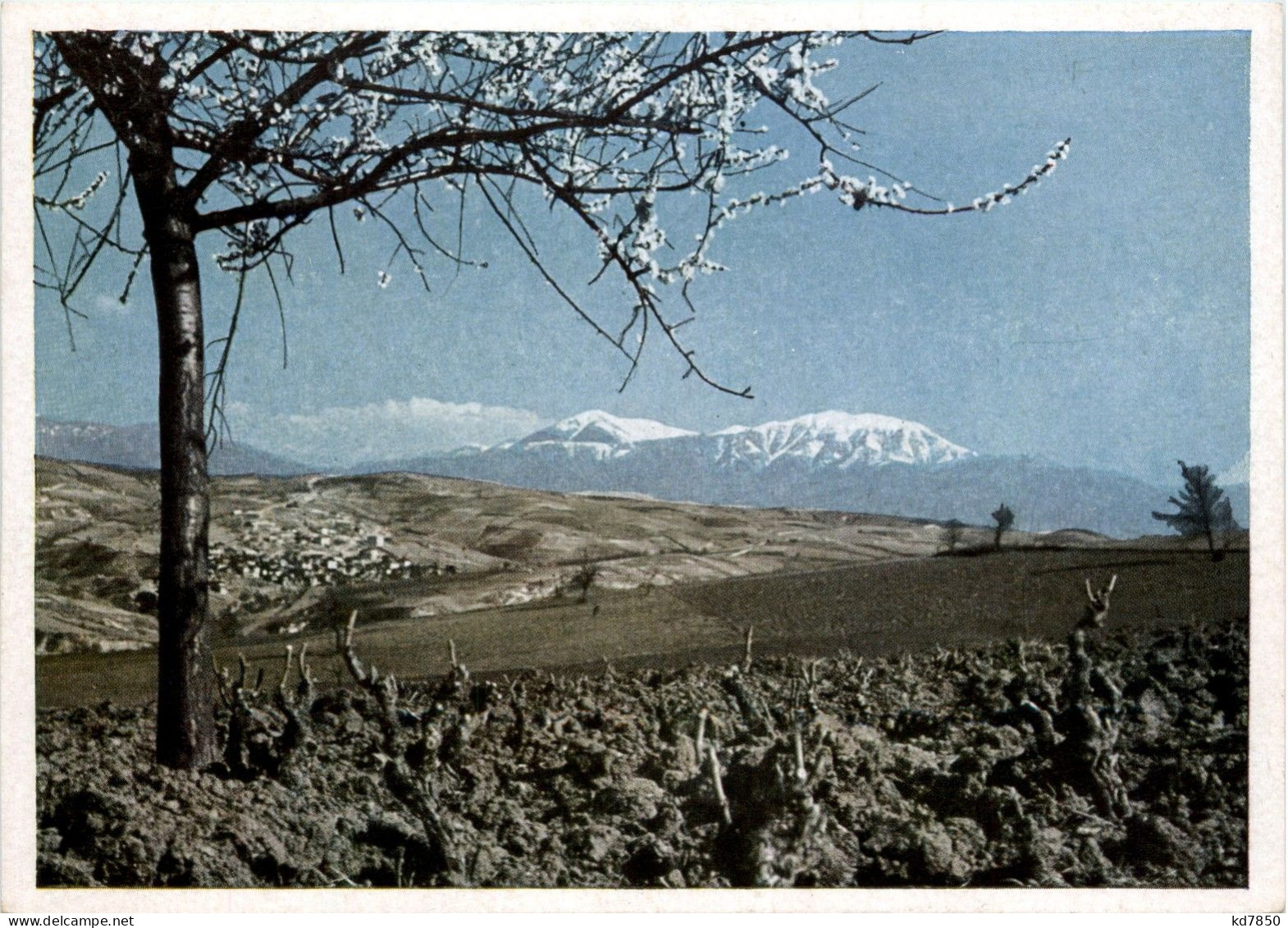 Vorfrühling In Südbulgarien - Bulgaria