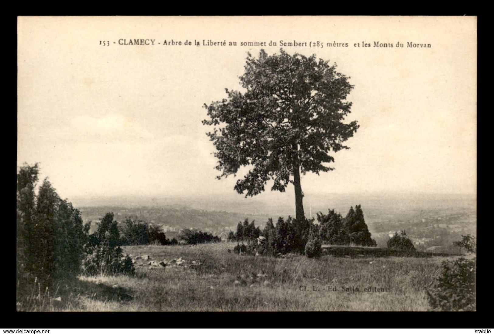 58 - CLAMECY - ARBRE DE LA LIBERTE AU SOMMET DU SEMBERT - Clamecy