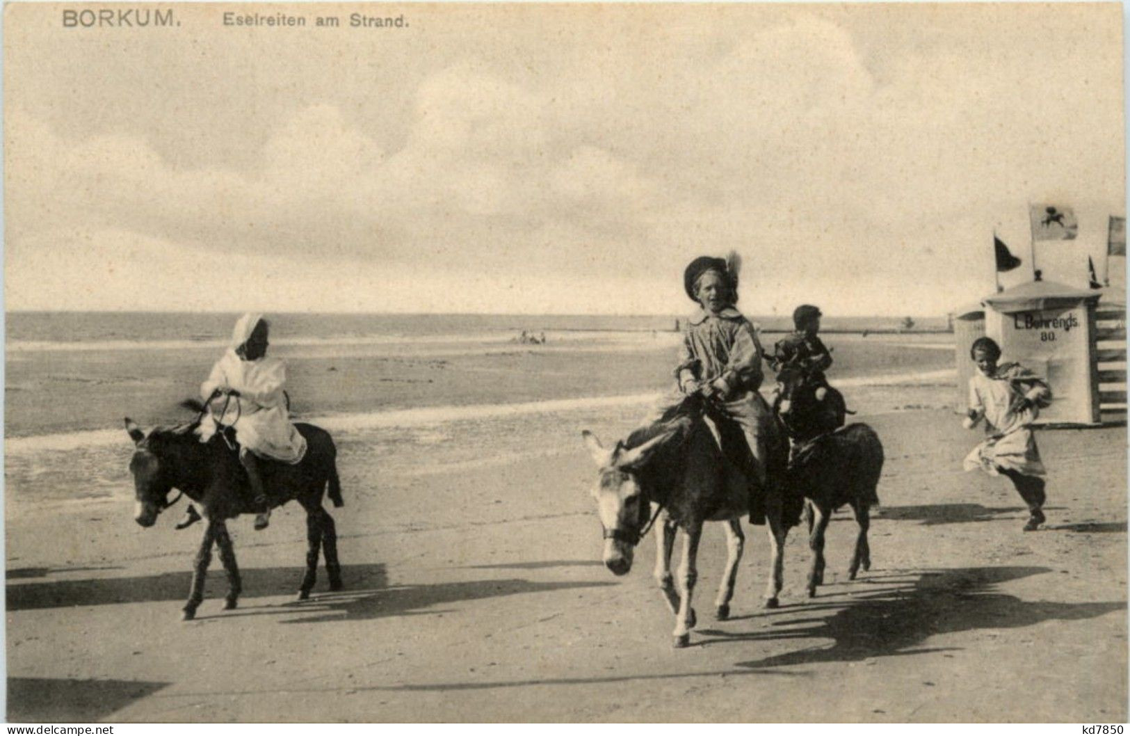 Borkum - Eselreiten Am Strand - Borkum