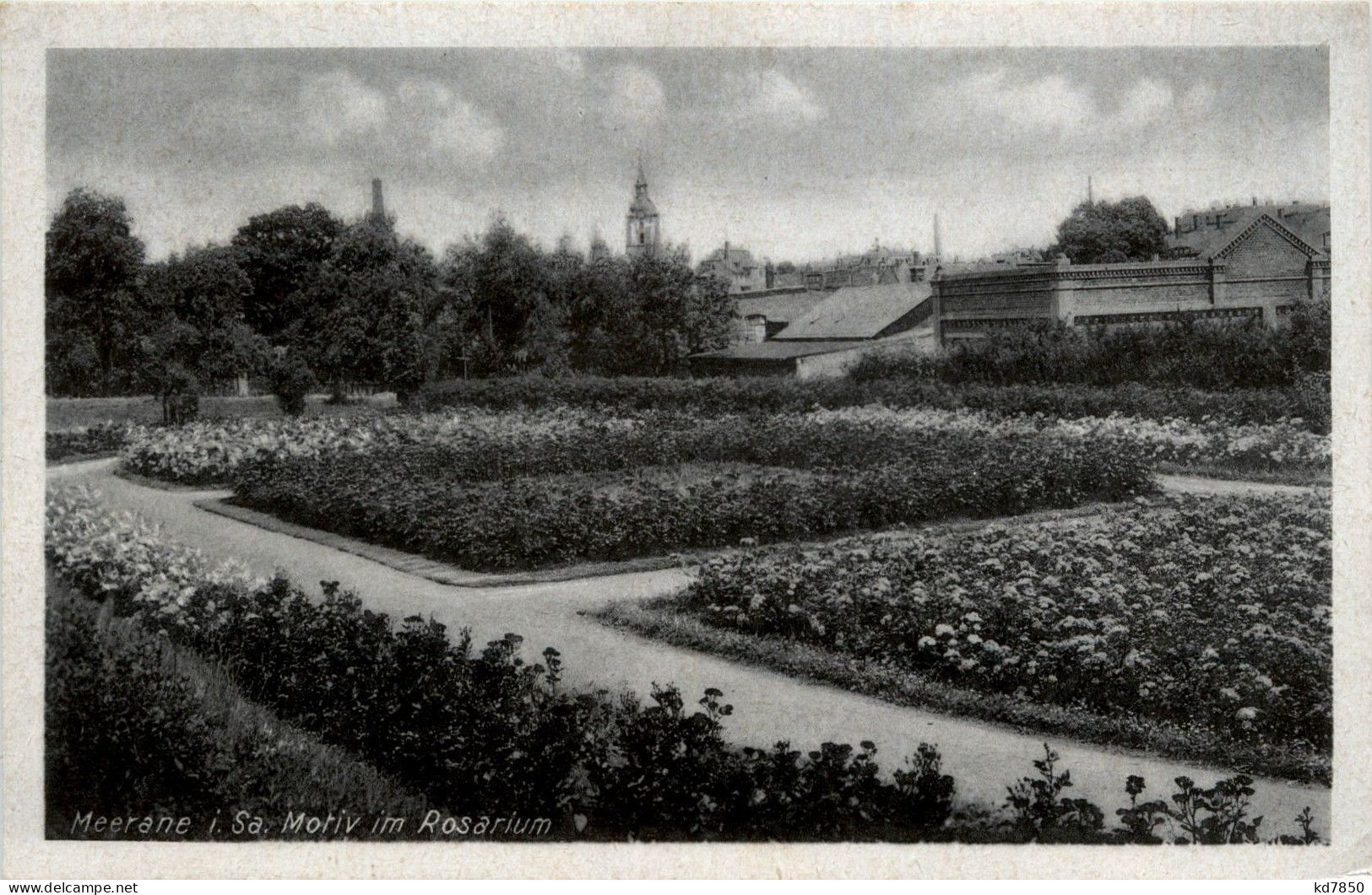 Meerane - Motiv Im Rosarium - Meerane