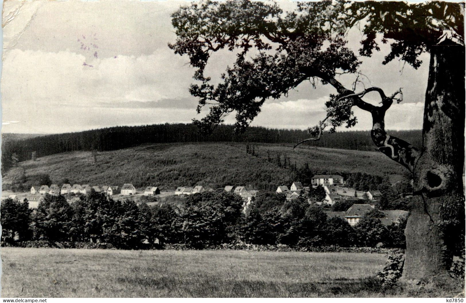 Neuhaus Im Solling - Holzminden