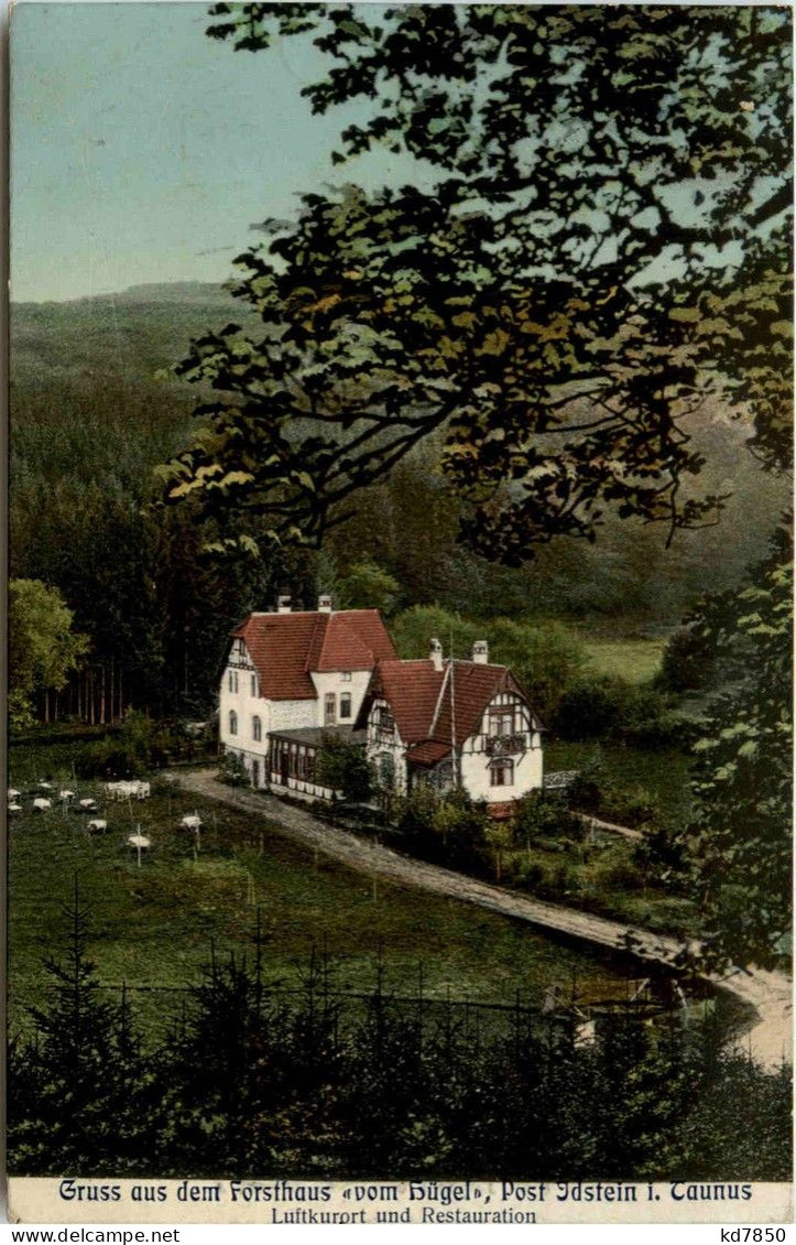 Idstein - Gruss Aus Dem Forsthaus Vom Hügel - Idstein