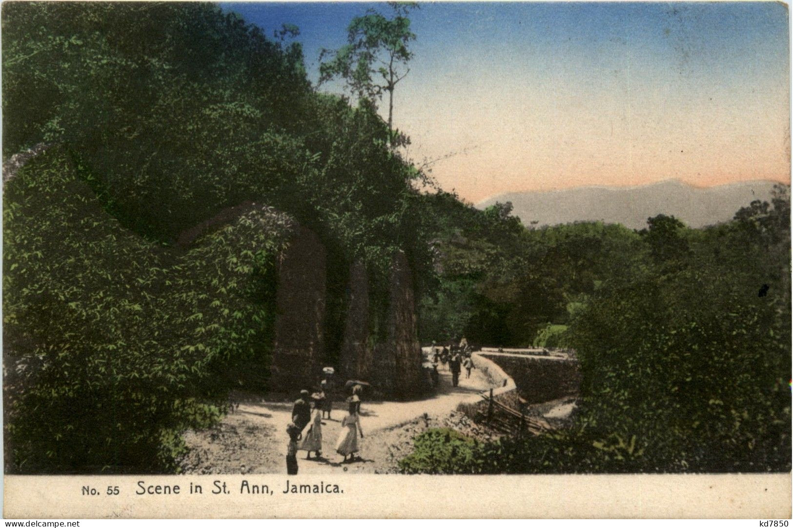 Jamaica - Scene In St. Ann - Jamaïque