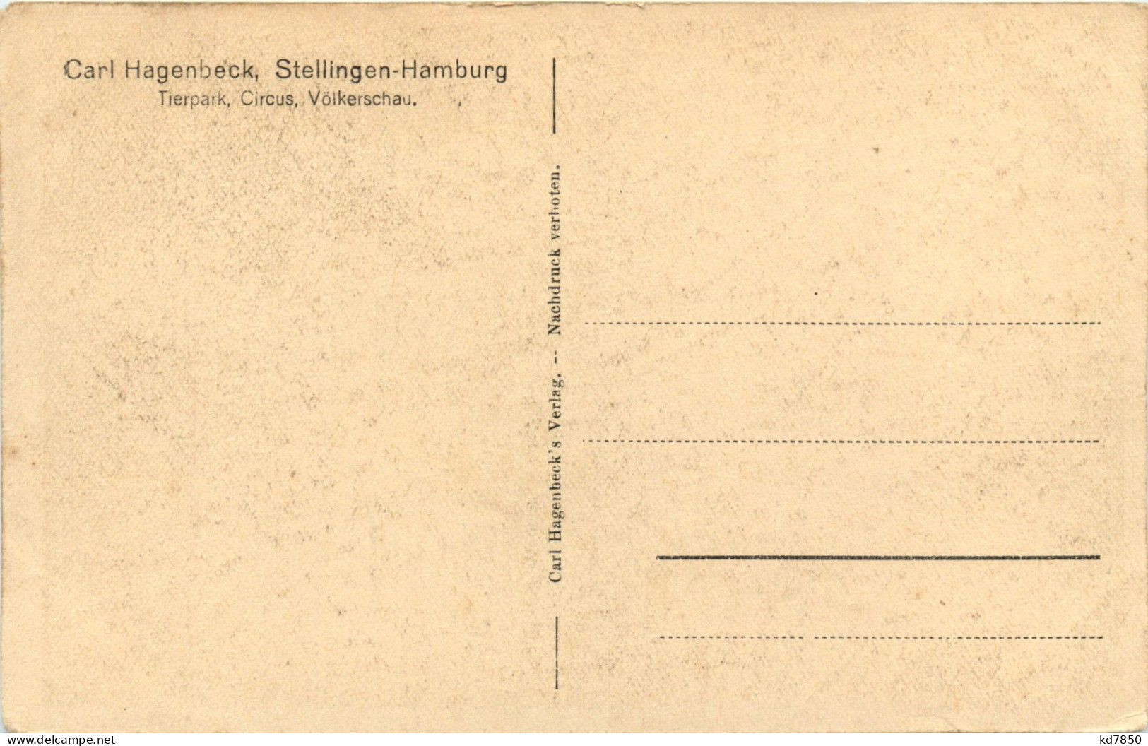 Hamburg Stellingen - Carl Hagenbeck Elephant - Stellingen