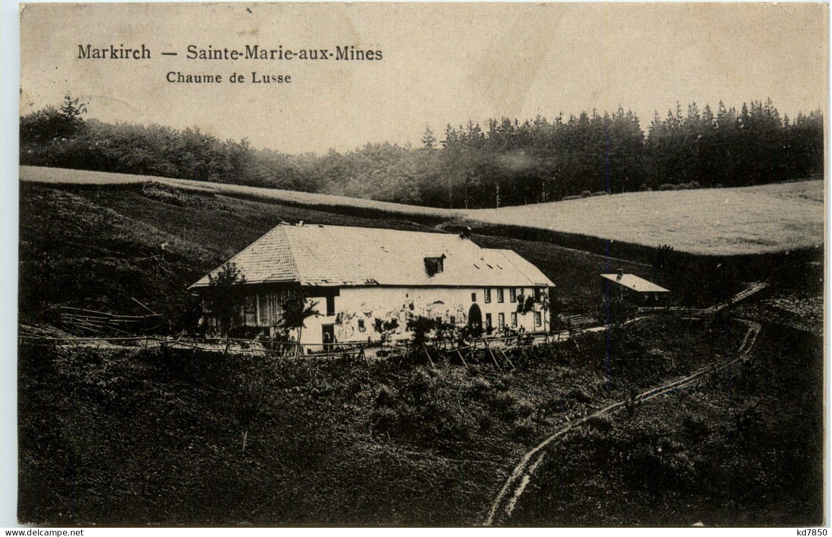 Markirch - Chaume De Lusse - Sainte-Marie-aux-Mines