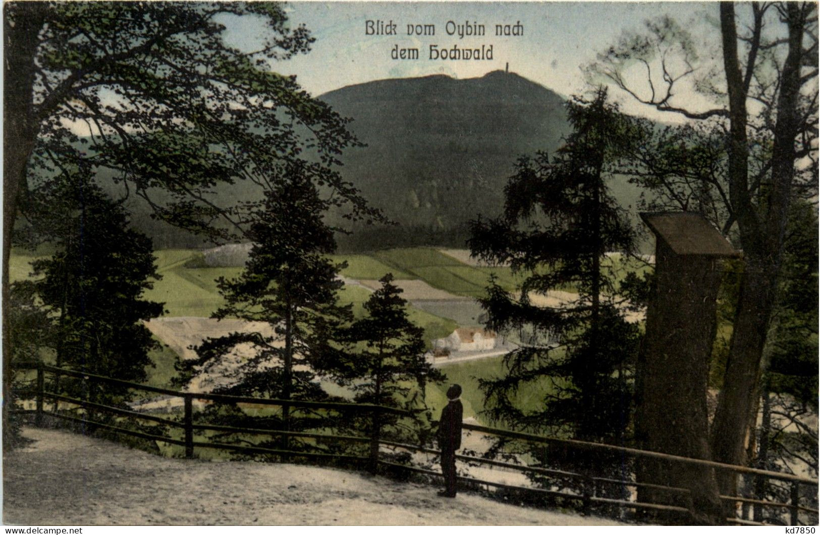 Blick Vom Oybin Nach Dem Hochwald - Oybin