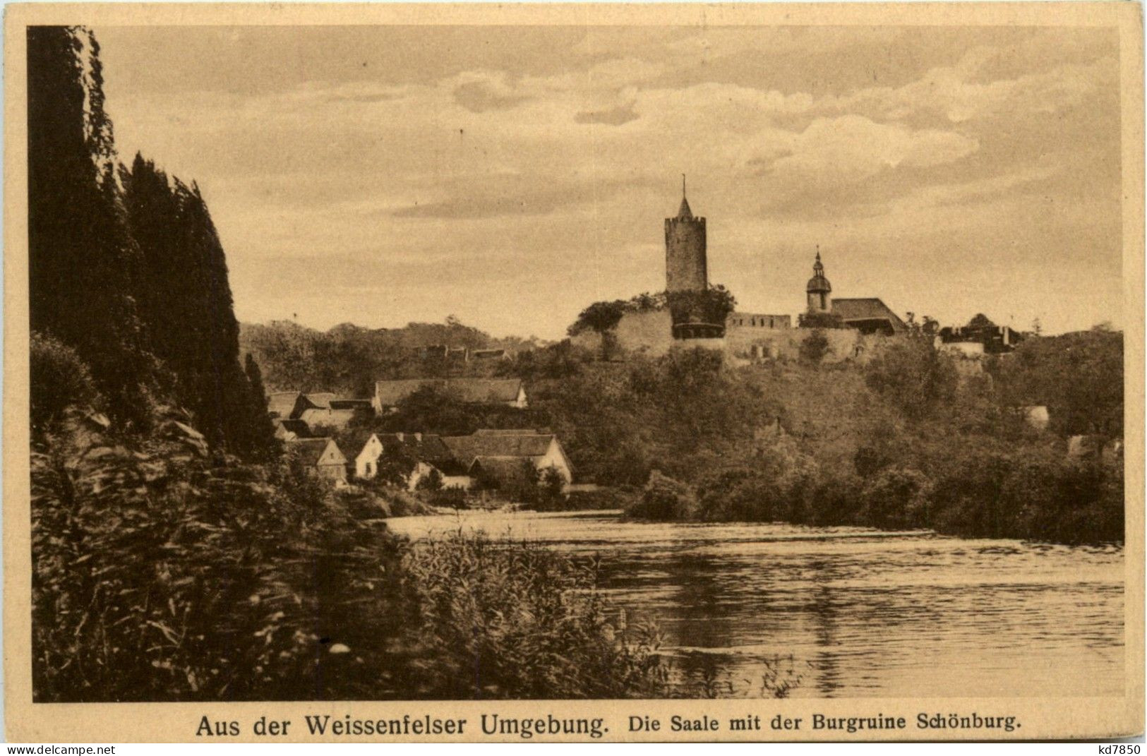 Weissenfels - Burgruine Schönburg - Weissenfels