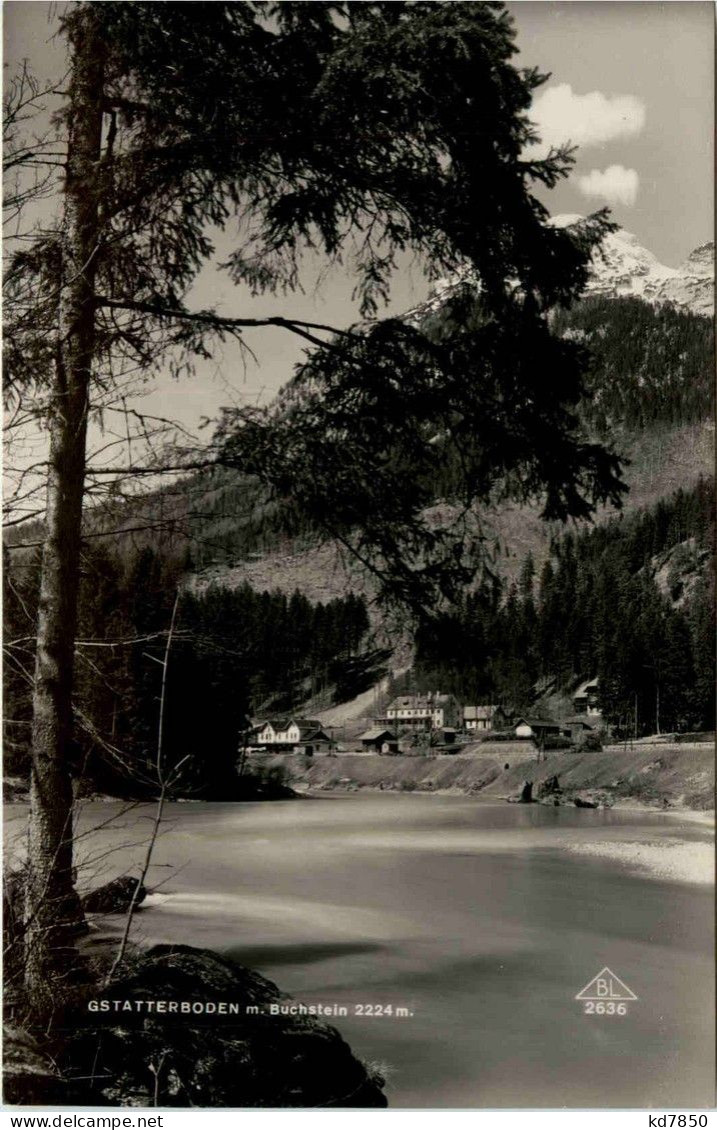 Gesäuse/Steiermark - Gesäuse, Gstatterboden Mit Buchstein - Gesäuse