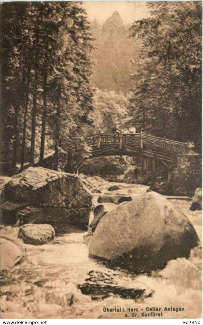 Okertal I. Harz - Celler Anlagen - Goslar