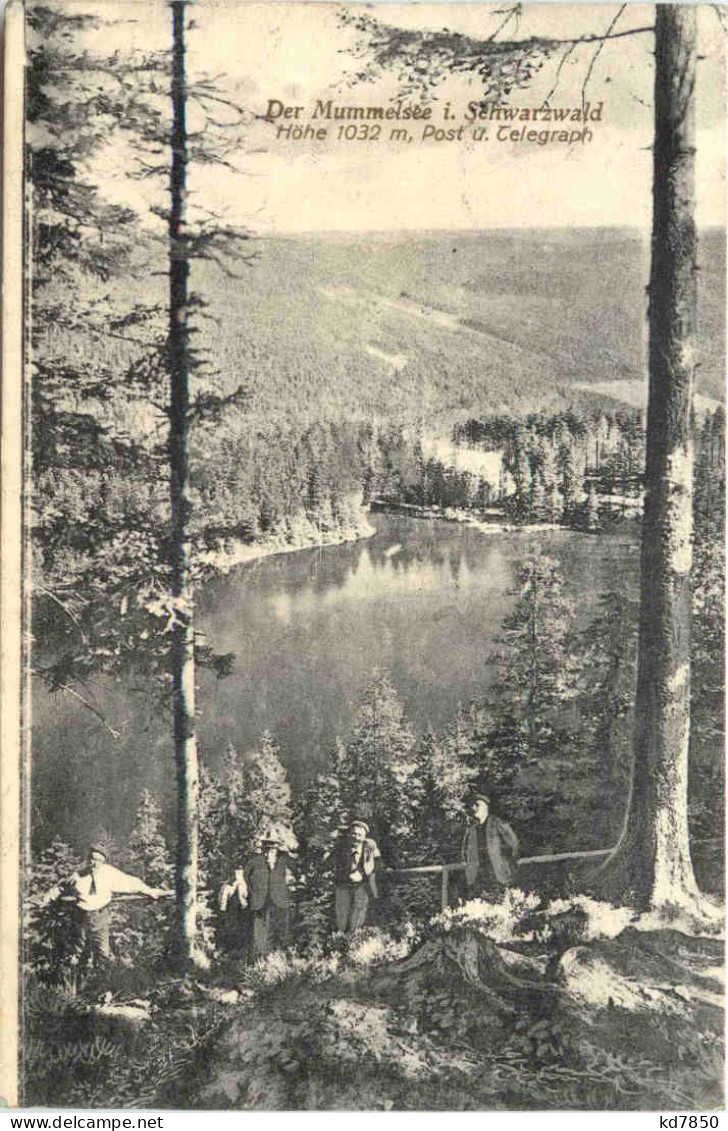 Der Mummelsee Im Schwarzwald - Autres & Non Classés