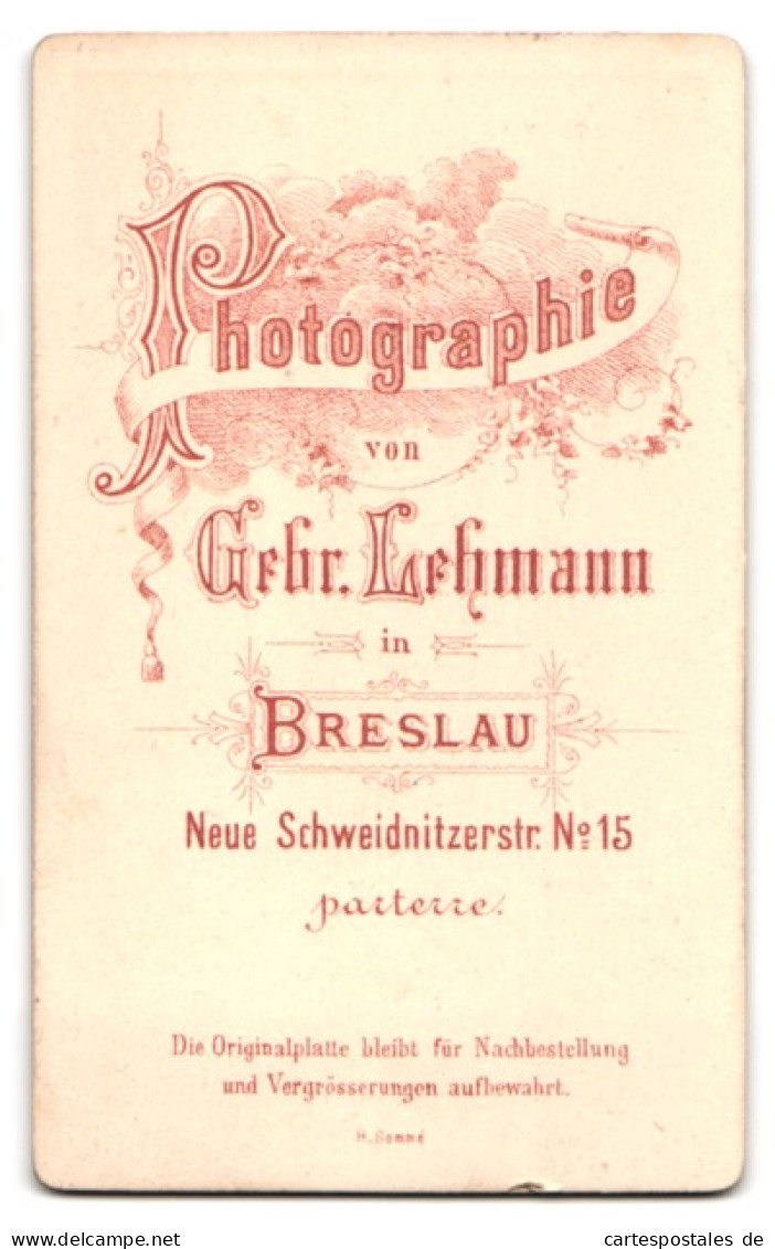 Fotografie Gebrüder Lehmann, Breslau, Neue Schweidnitzer Str. 15, Portrait Hübsche Dame Mit Zopf  - Anonieme Personen