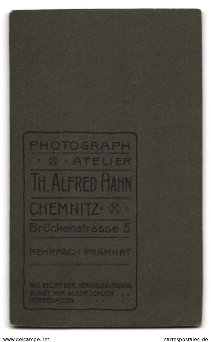 Fotografie Th. Alfred Hahn, Chemnitz, Brückenstr. 5, Portrait Dame Im Gestreiften Kleid Mit Hochsteckfrisur  - Anonieme Personen