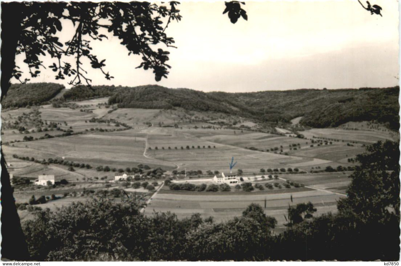 Holsthum Eifel - Hotel Berscheid - Andere & Zonder Classificatie