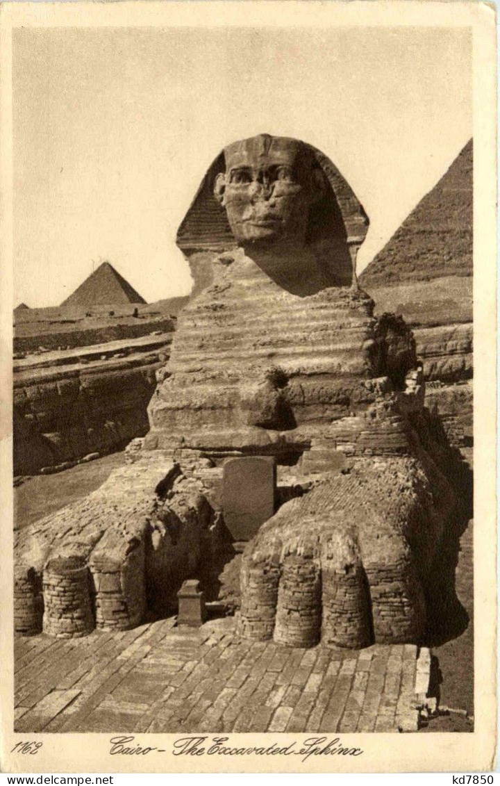 Cairo Sphinx - Sphynx