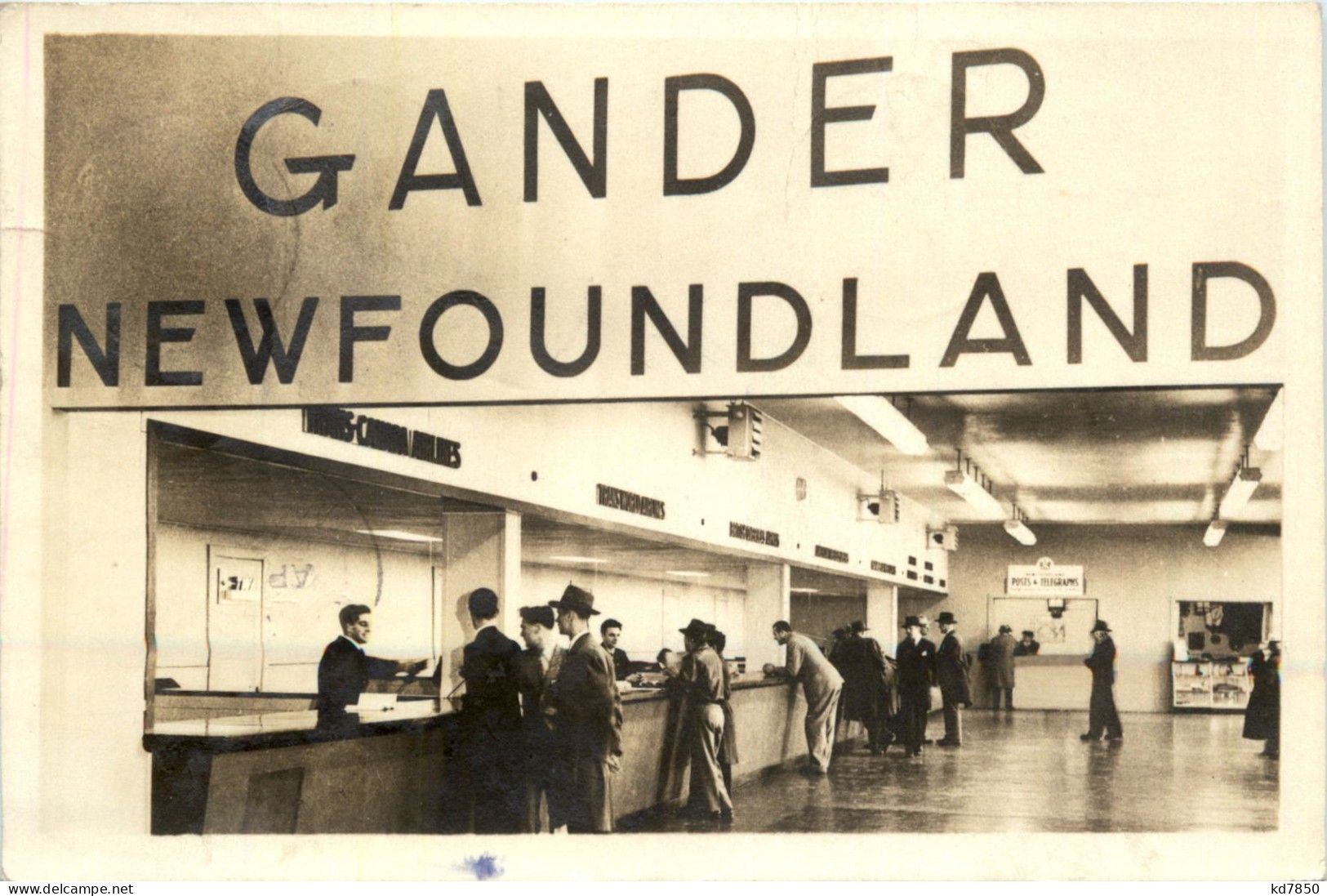 Gander Newfoundland - Altri & Non Classificati