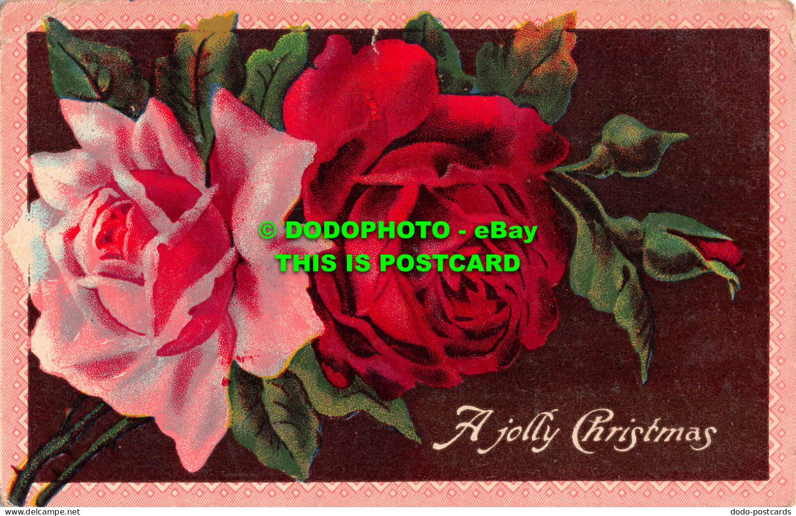 R543011 A Jolly Christmas. Red Rose. 1910 - World