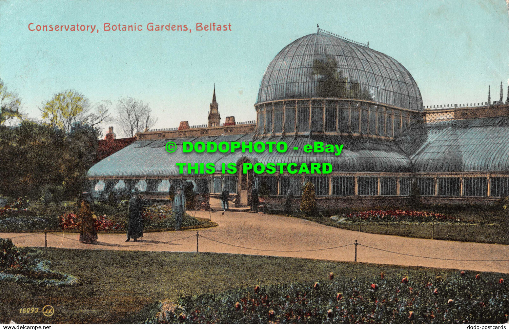 R543024 Belfast. Conservatory. Botanic Gardens. W. E. Walton - World