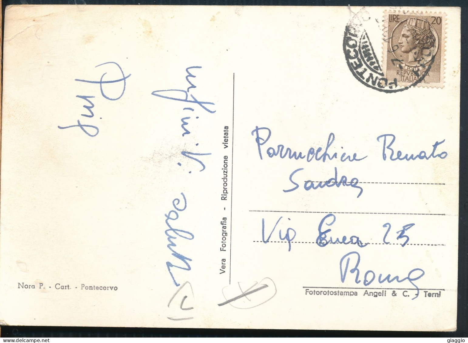 °°° 30849 - PONTECORVO - VISIONE NOTTURNA (FR) 1956 °°° - Other & Unclassified