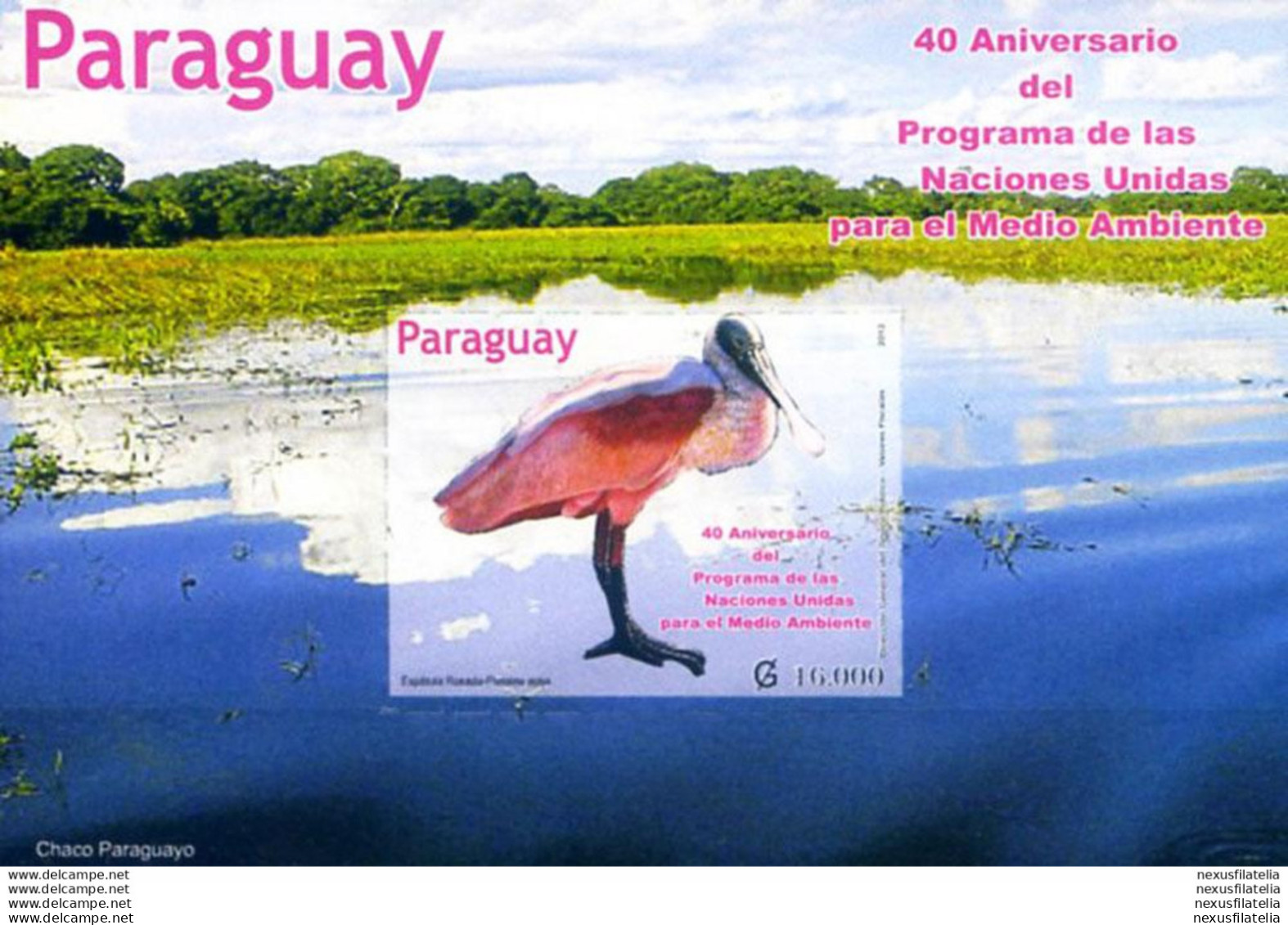 Ambiente 2012. - Paraguay