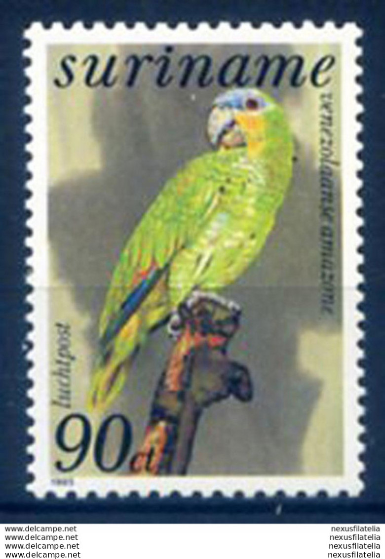 Fauna. Pappagallo 1985. - Suriname