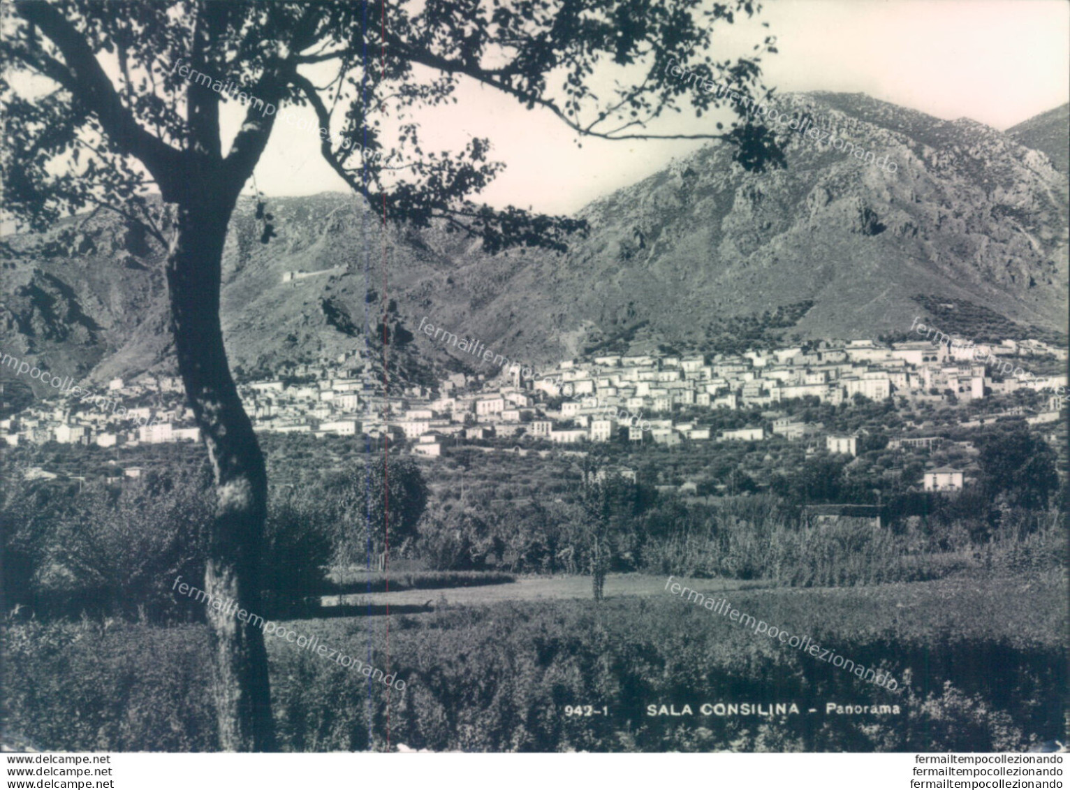 V132 Cartolina Sala Consilina Provincia Di Salerno - Salerno
