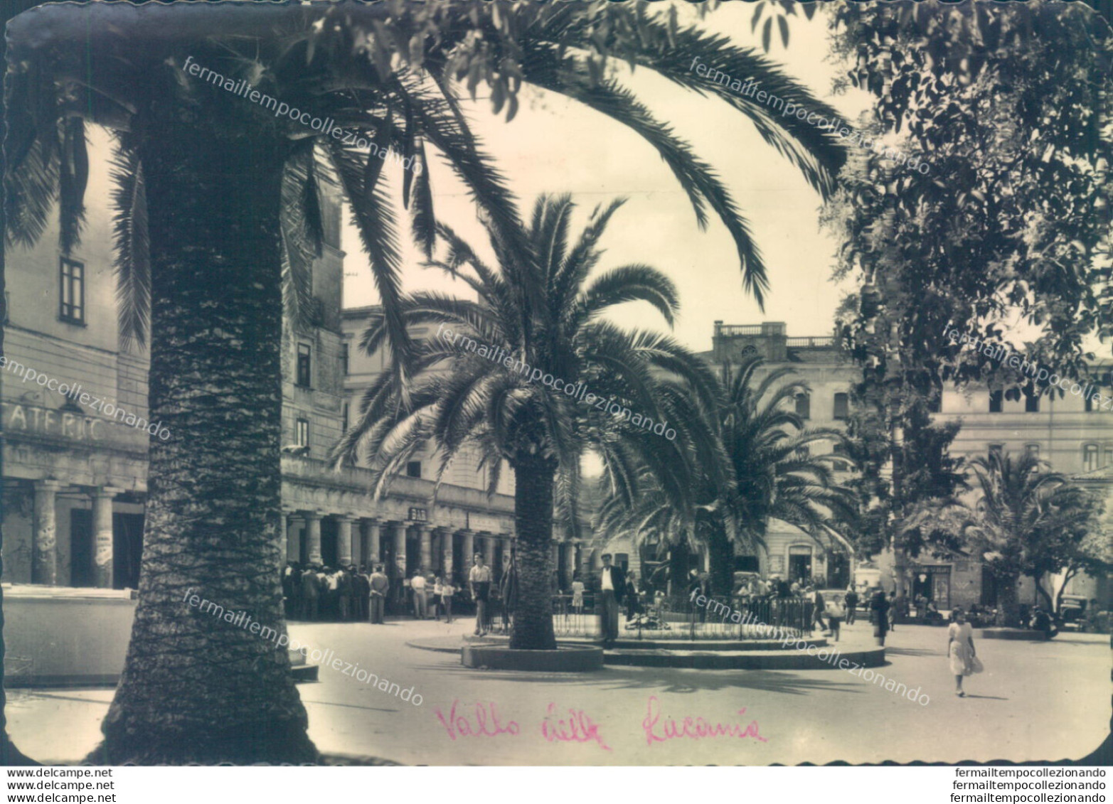 V196 Cartolina Valle Della Lucania Piazza Mercato Angoli Arrotondati Salerno - Salerno