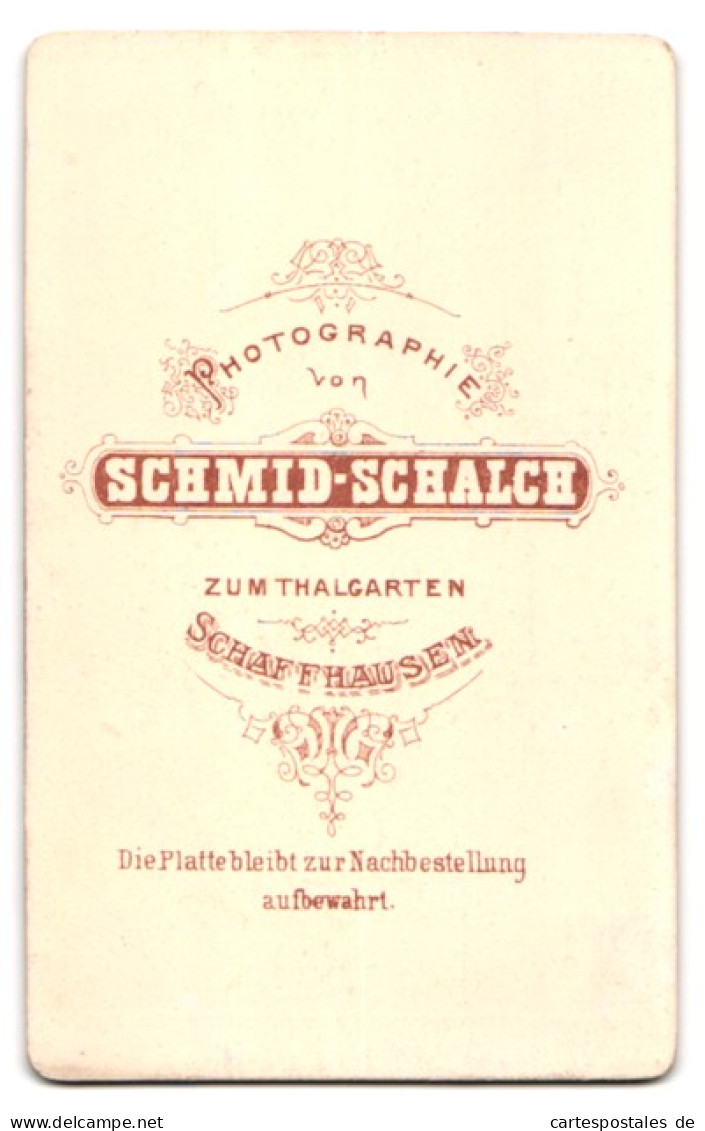 Fotografie Schmid-Schalch, Schaffhausen, Zum Thalgarten, Portrait Dame Im Biedermeierkleid Mit Brosche  - Anonyme Personen