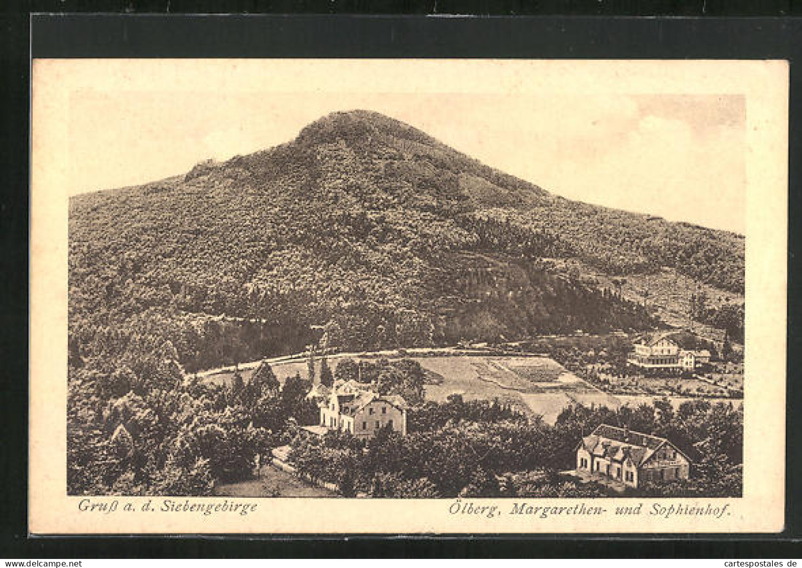 AK Königswinter, Ölberg, Margarethen- Und Sophienhof  - Königswinter