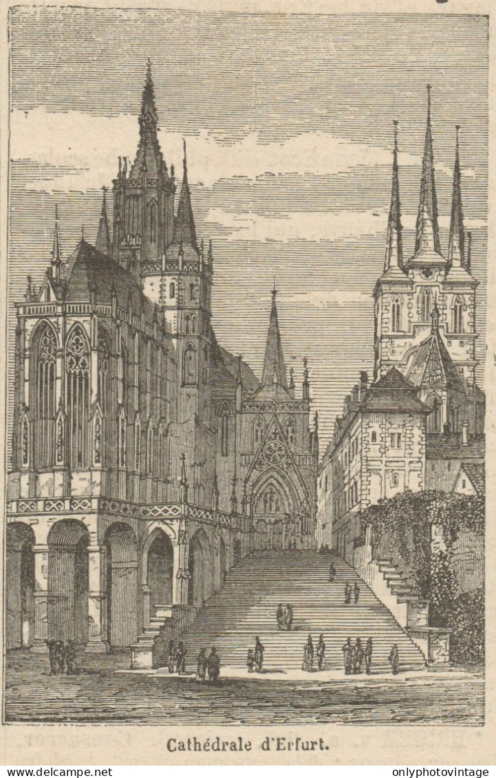 Germany - Erfurt - View Of The Cathedral - Stampa Antica - 1892 Engraving - Stiche & Gravuren