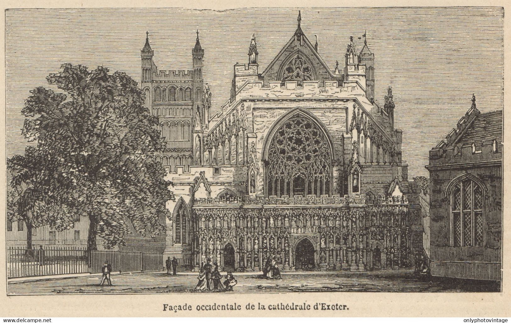 England - Exeter - View Of The Cathedral - Stampa Antica - 1892 Engraving - Stiche & Gravuren