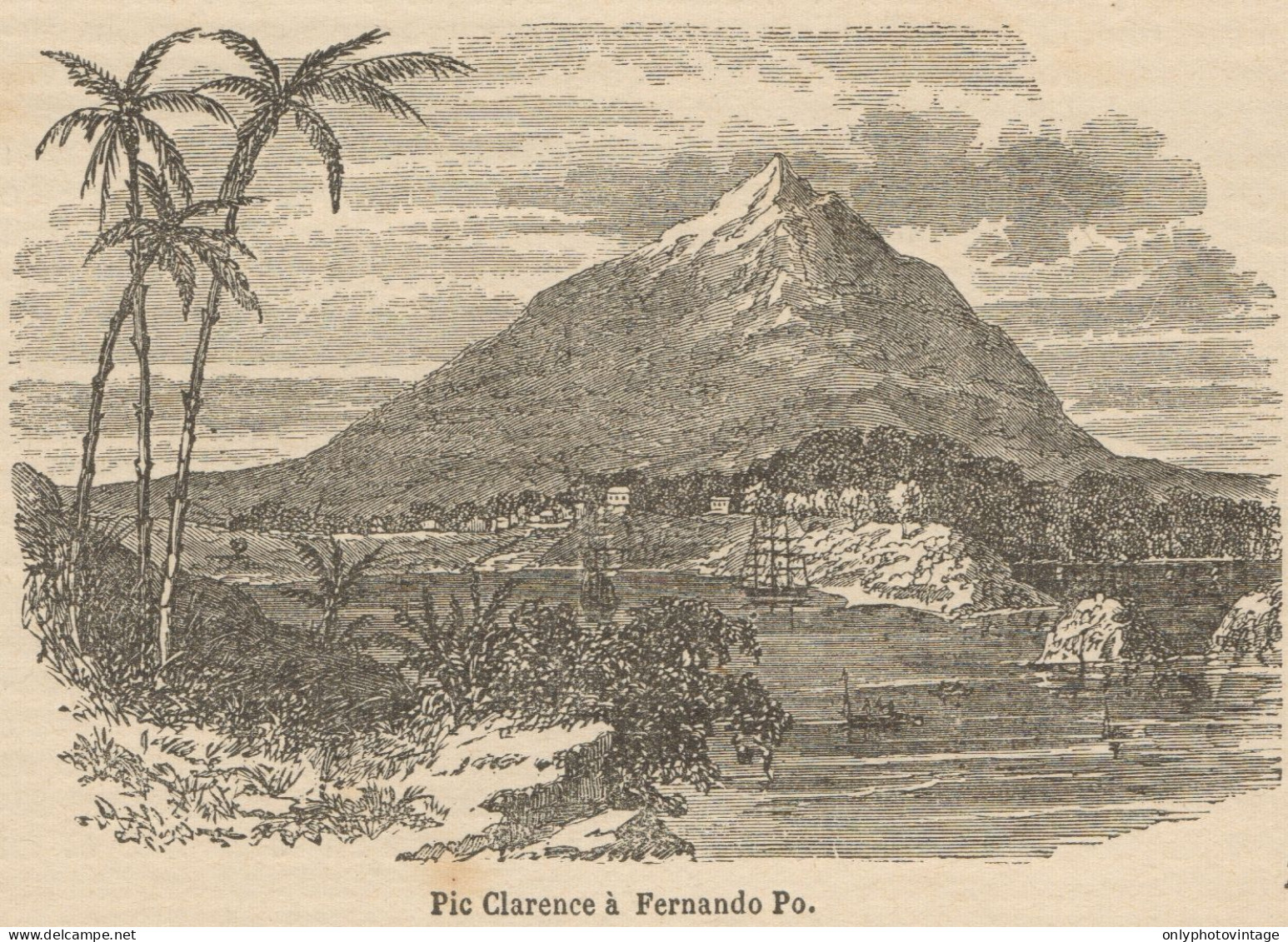 Guinea - Bioko - Fernando Po - View - Stampa Antica - 1892 Engraving - Prints & Engravings
