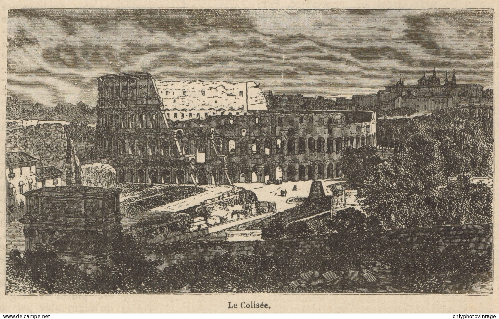 Roma - Il Colosseo - Stampa Antica - 1892 Engraving - Stiche & Gravuren