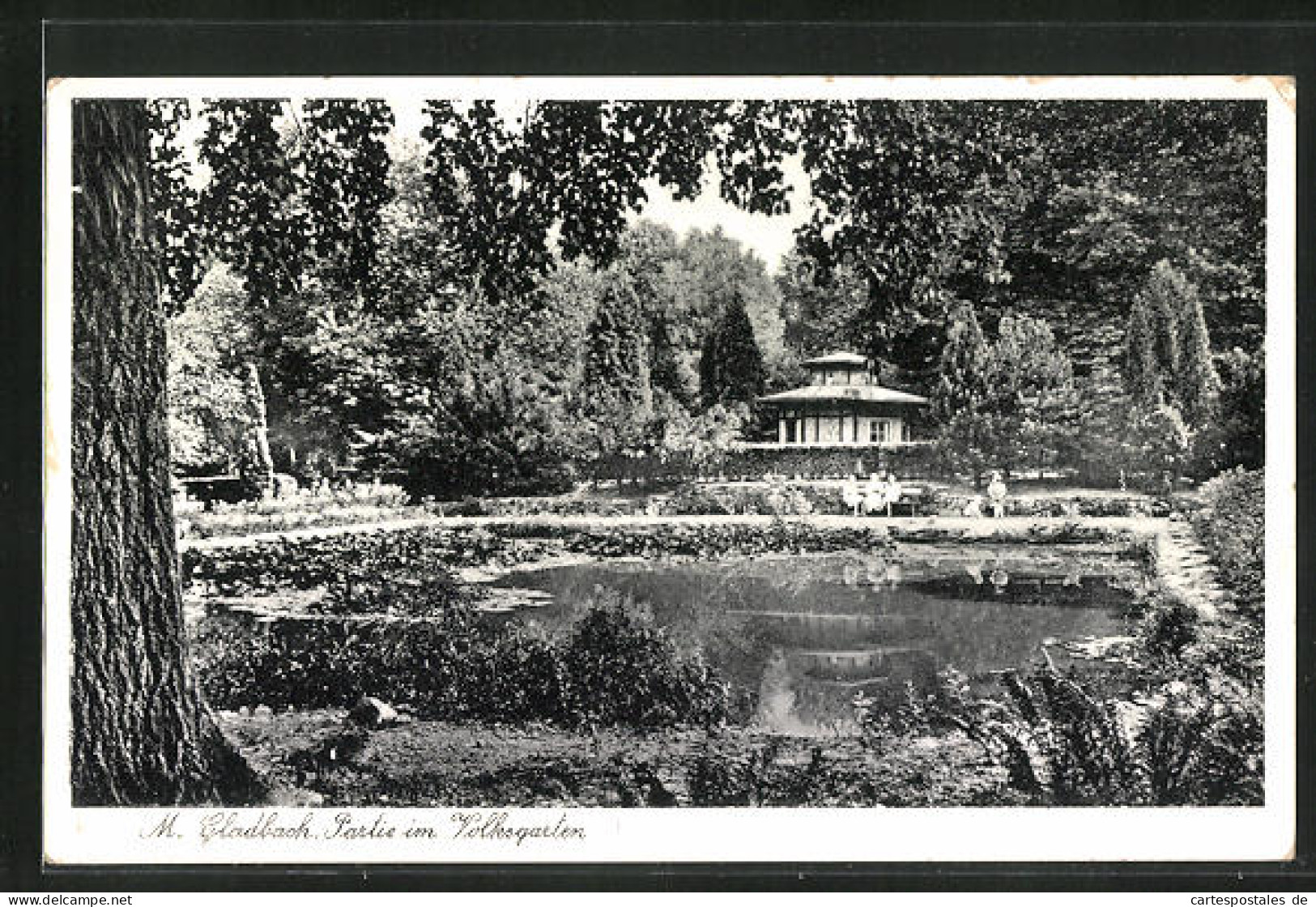 AK Mönchengladbach, Partie Im Volksgarten  - Moenchengladbach