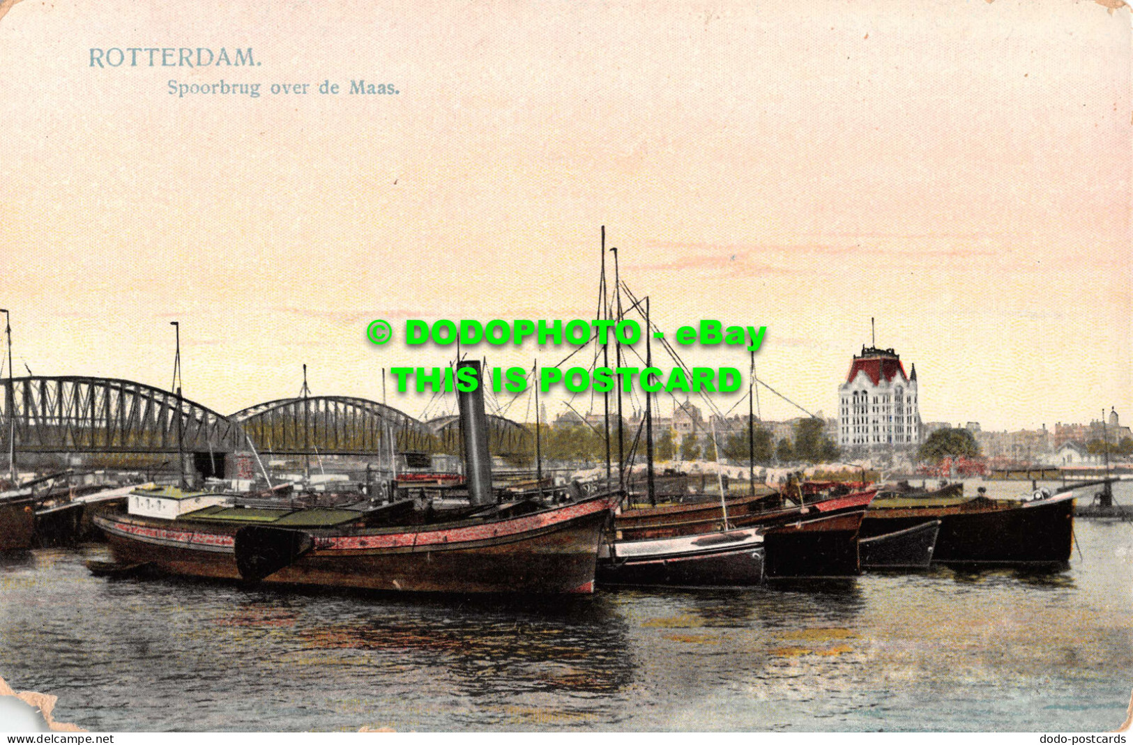 R543488 Rotterdam. Spoorburg Over De Maas. Postcard - Monde