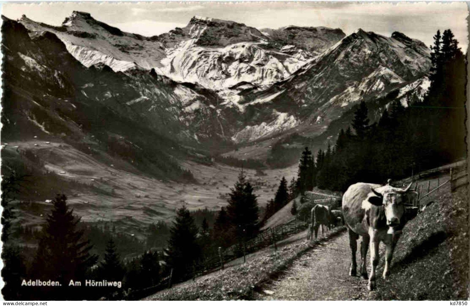 Adelboden - Am Hörnliweg - Adelboden