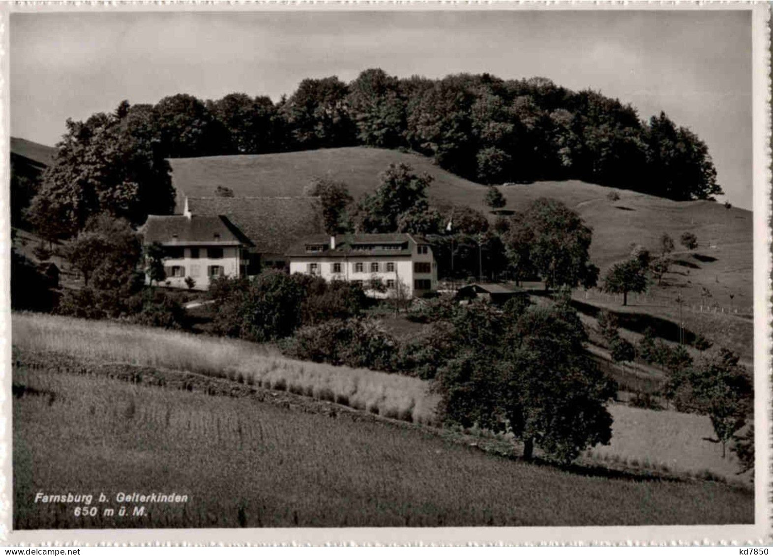 Farnsburg Bei Gelterkinden - Other & Unclassified