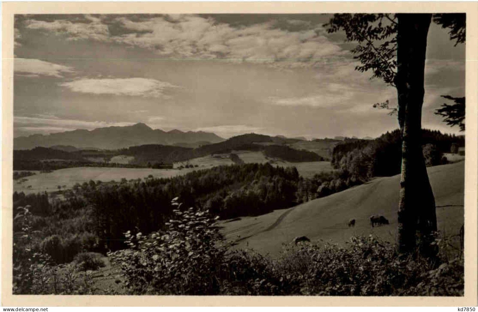 Degersheim - Ausblick Vom Juzenberg - Degersheim