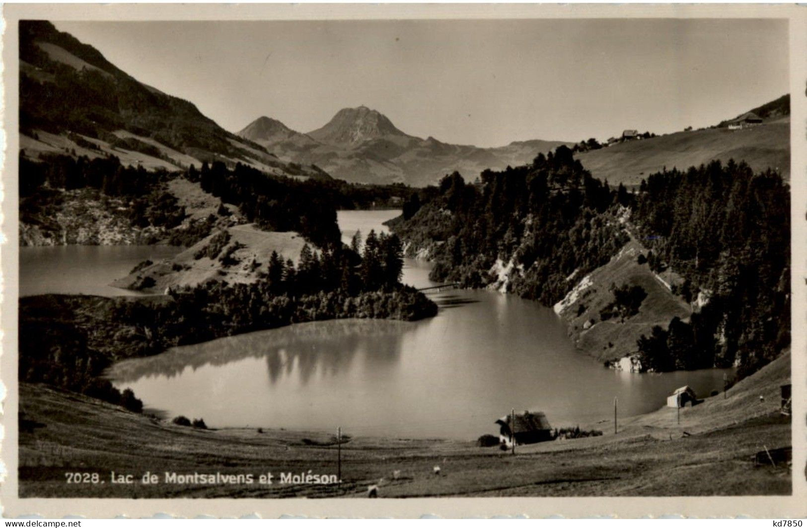 Lac De Montsalvens Et Moleson - Sonstige & Ohne Zuordnung