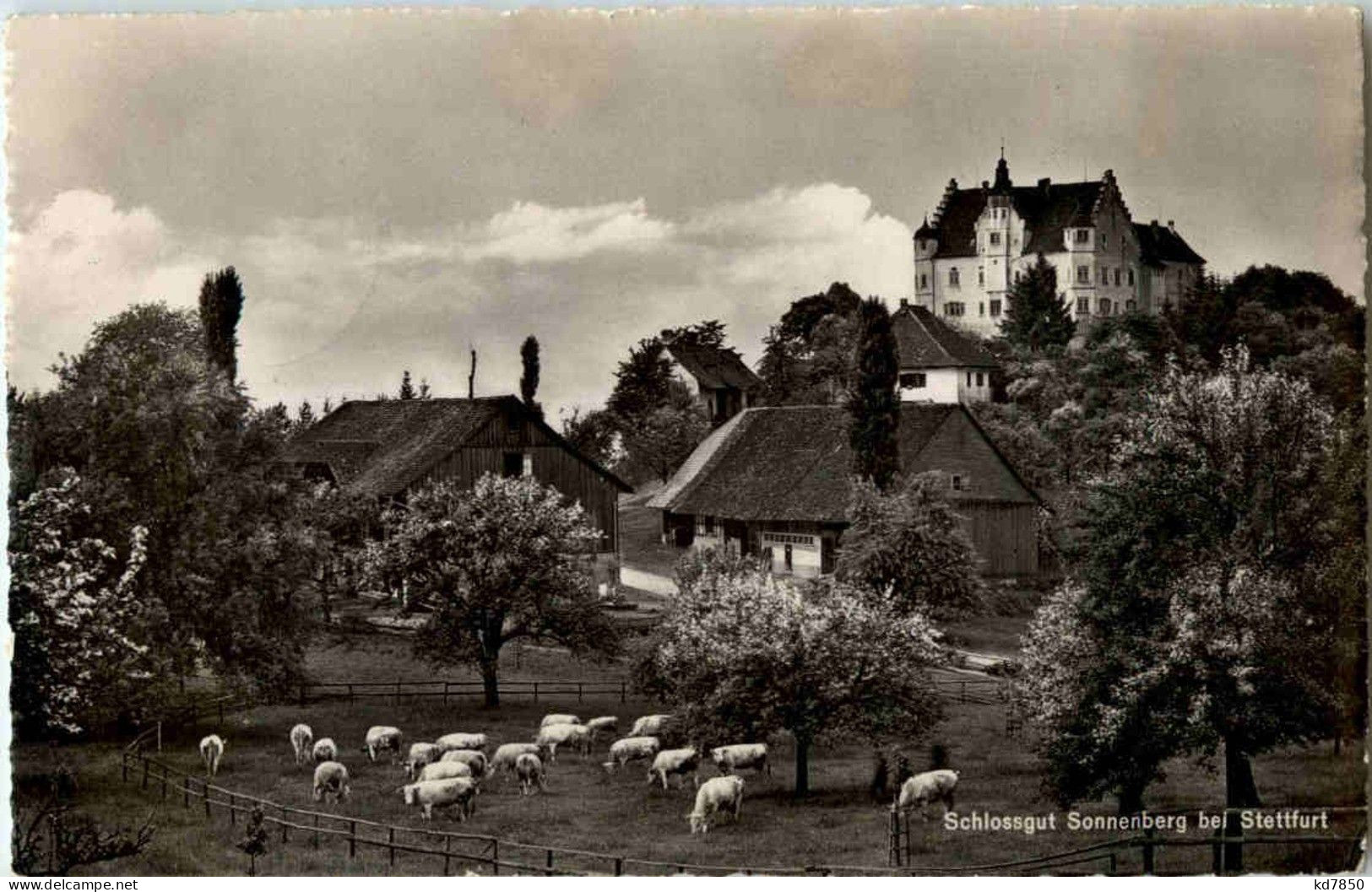 Schloss Sonnenberg Bei Stettfurt - Sonstige & Ohne Zuordnung