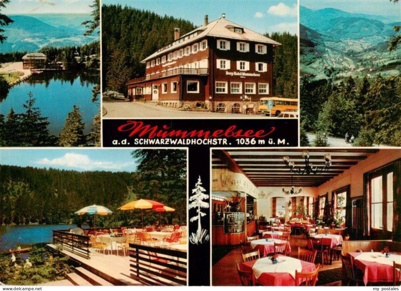 73941747 Mummelsee Berghotel Restaurant Terrasse Panorama Schwarzwald - Other & Unclassified