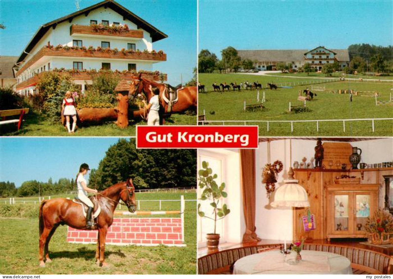 73941743 Kronberg_Hoeslwang_Chiemgau Gut Kronberg Reiterhof Springplatz - Autres & Non Classés