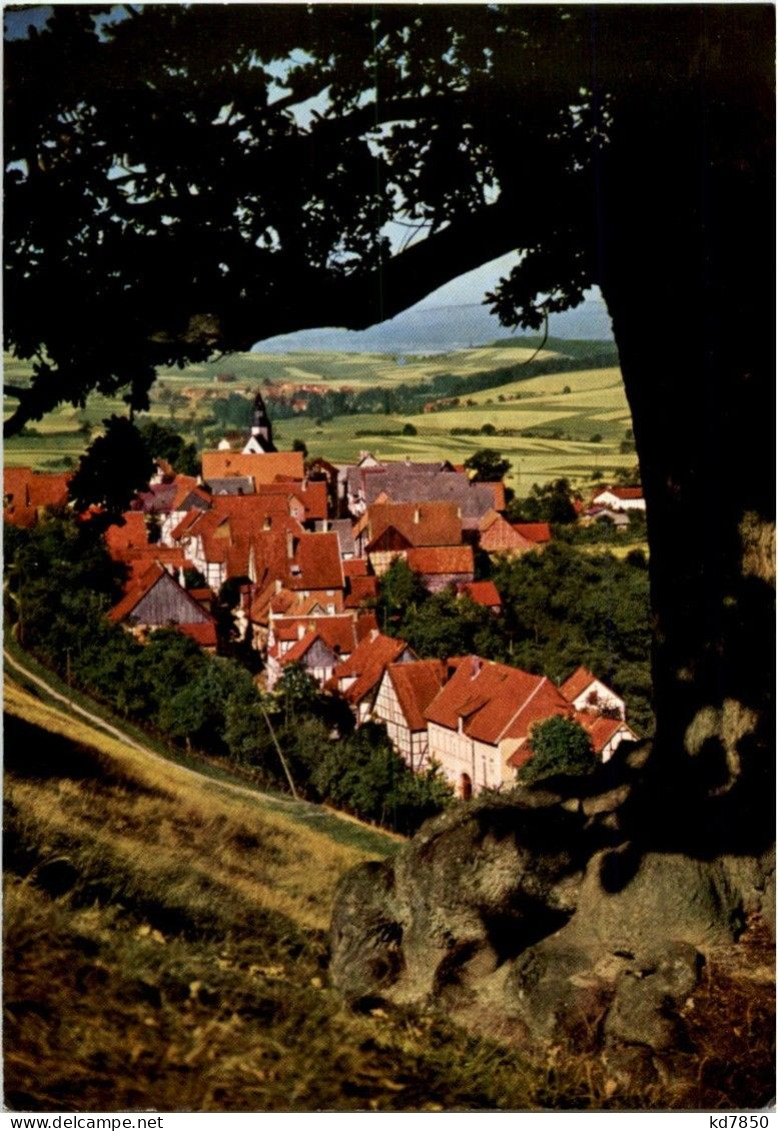 Schieder Schwalenberg In Lippe - Sonstige & Ohne Zuordnung