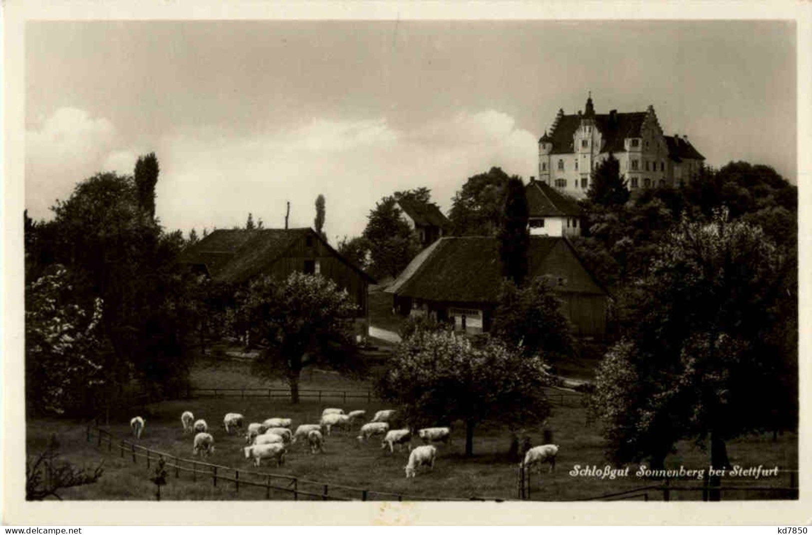 Schloss Sonnenberg Bei Stettfurt - Sonstige & Ohne Zuordnung