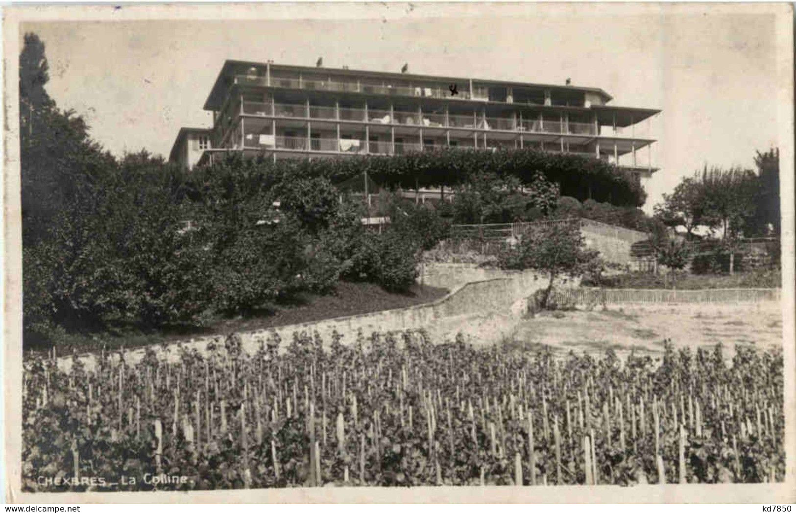 Chexbres - La Colline - Chexbres