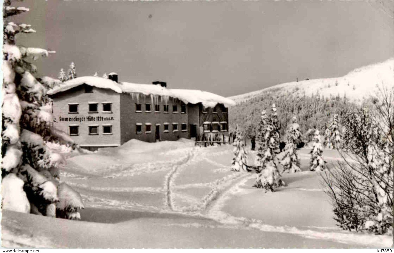 Feldberg - Emmendinger Hütte - Feldberg