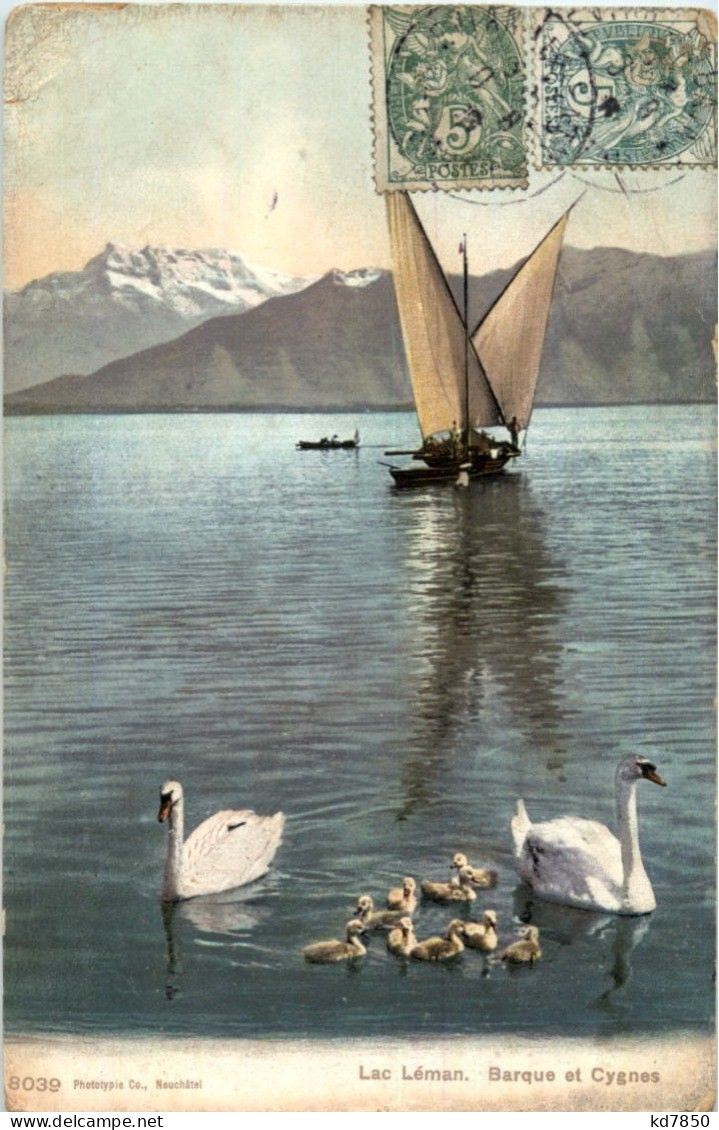 Lac Leman - Barque Et Cygnes - Sonstige & Ohne Zuordnung
