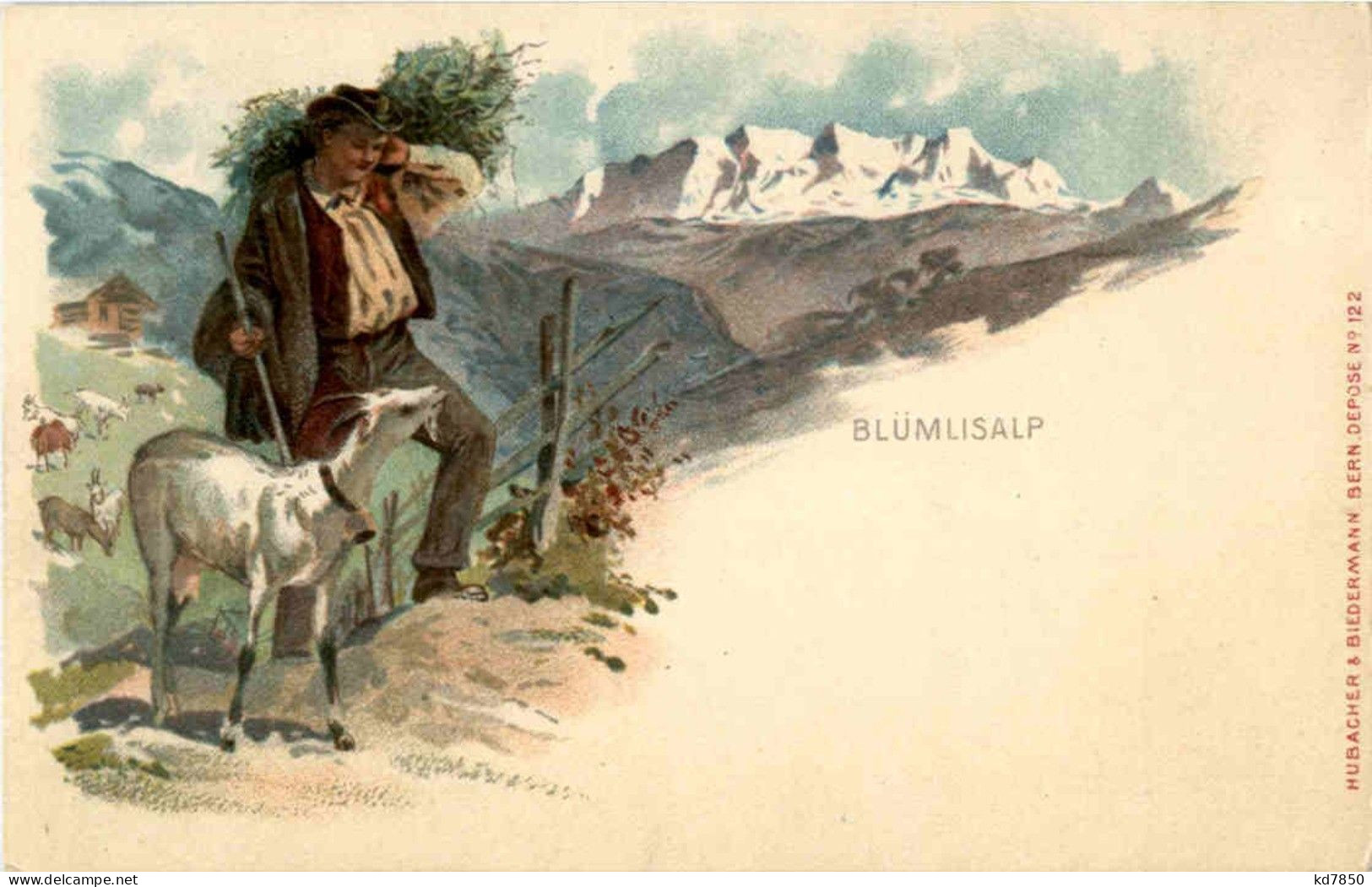 Blümlisalp - Goat Ziege - Other & Unclassified